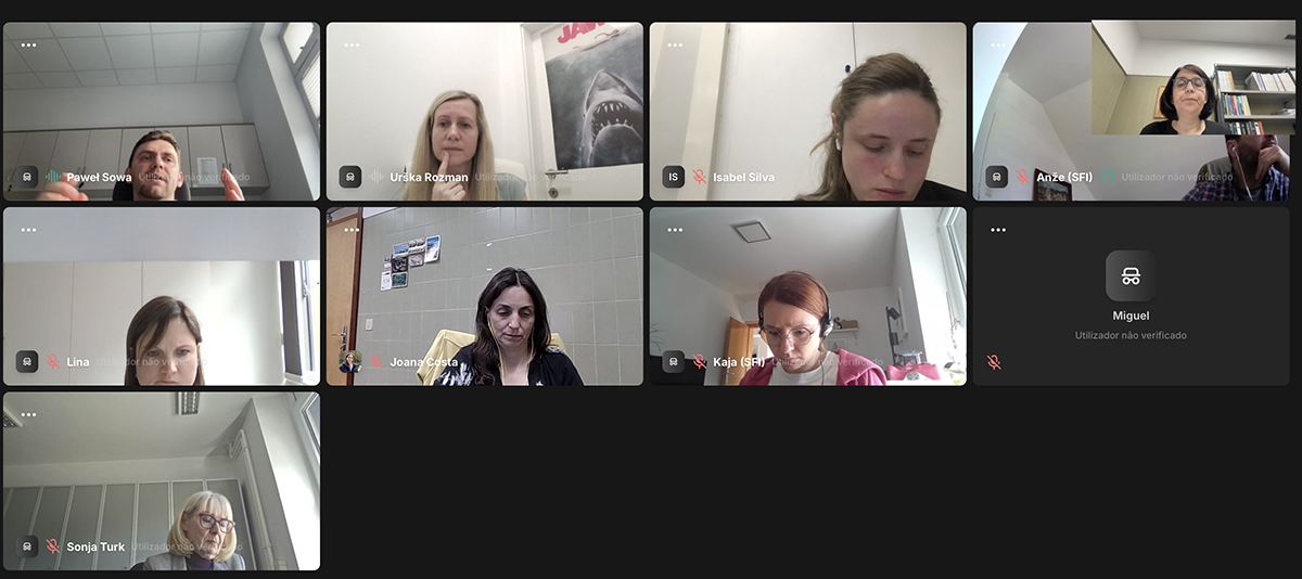 Participants