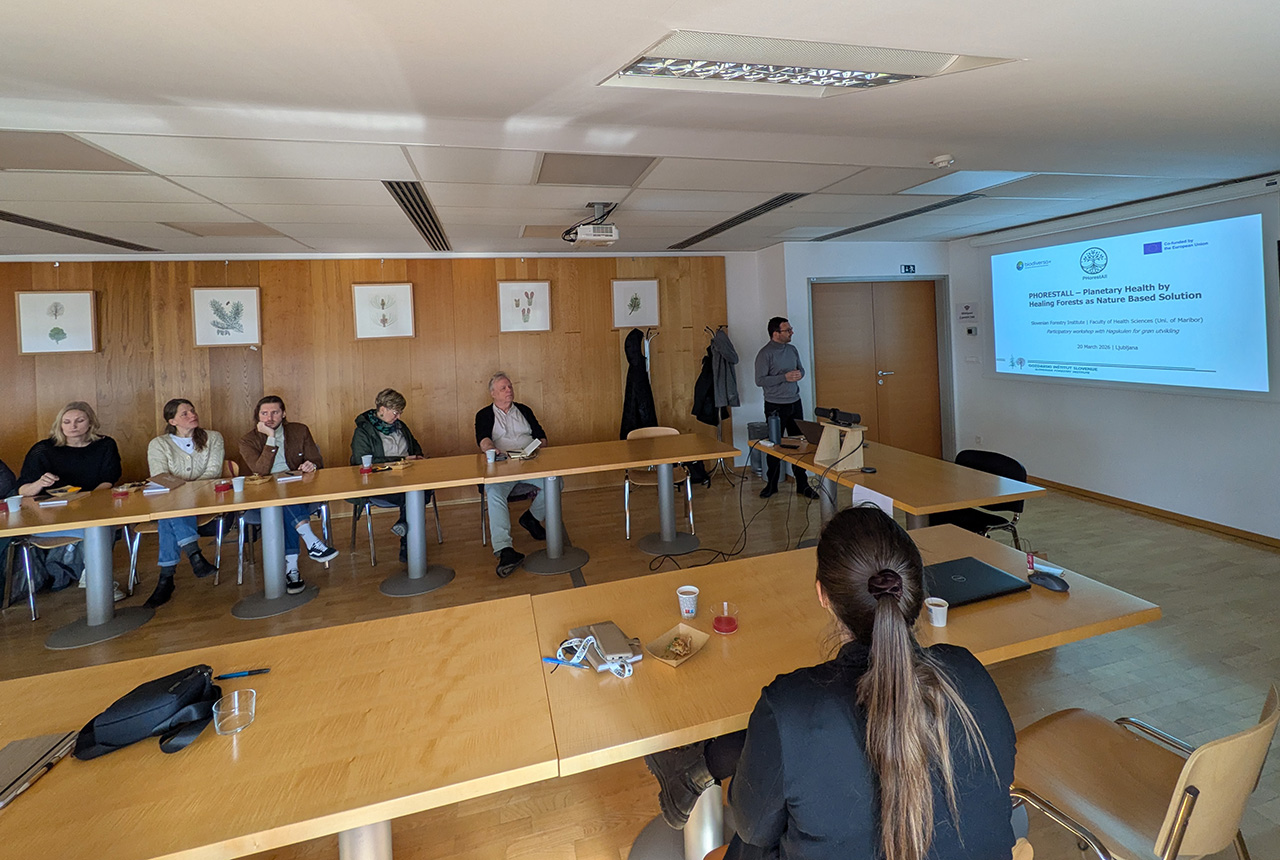 Forestry Institute hosted a workshop