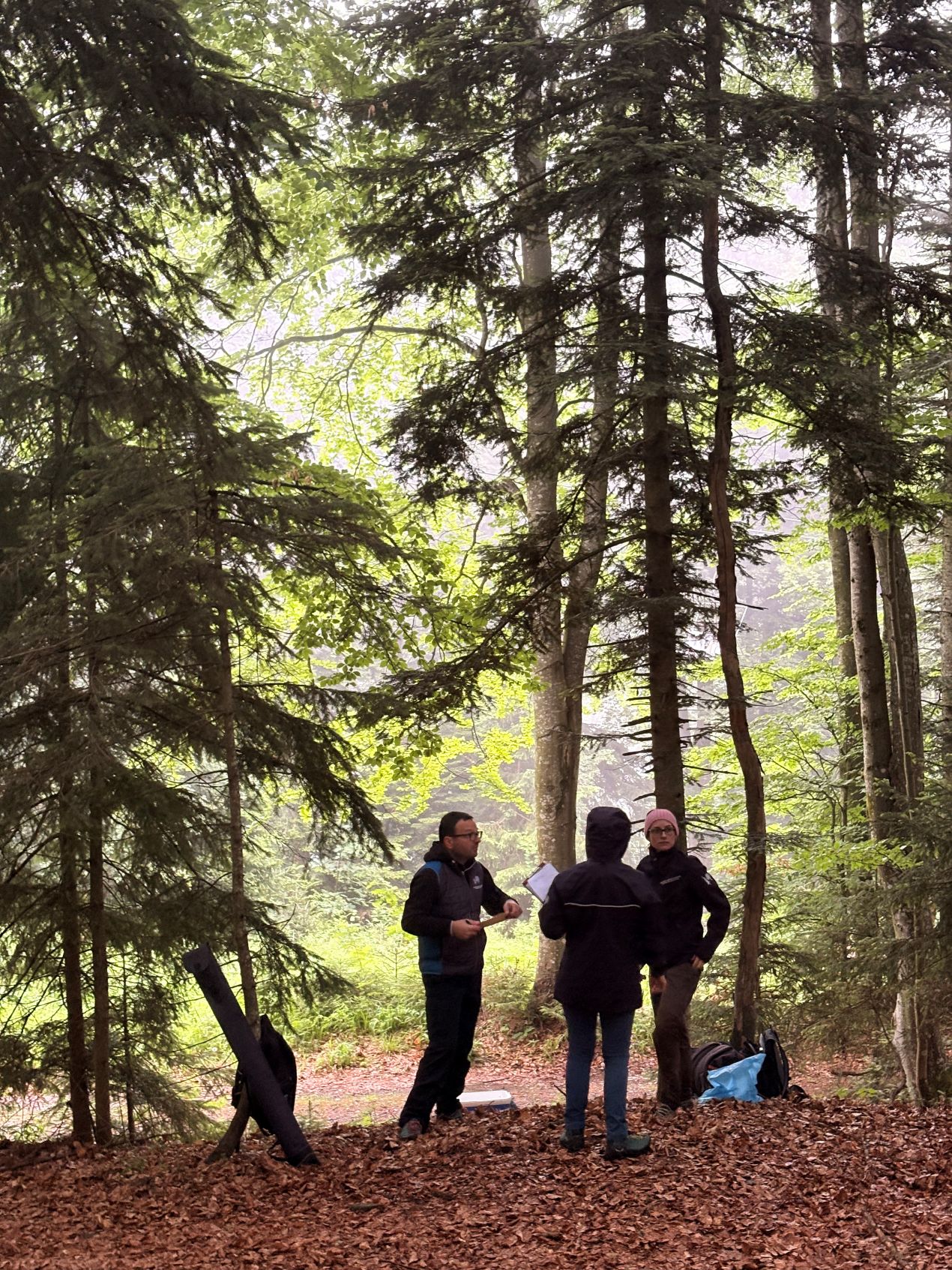 Sampling Activities 