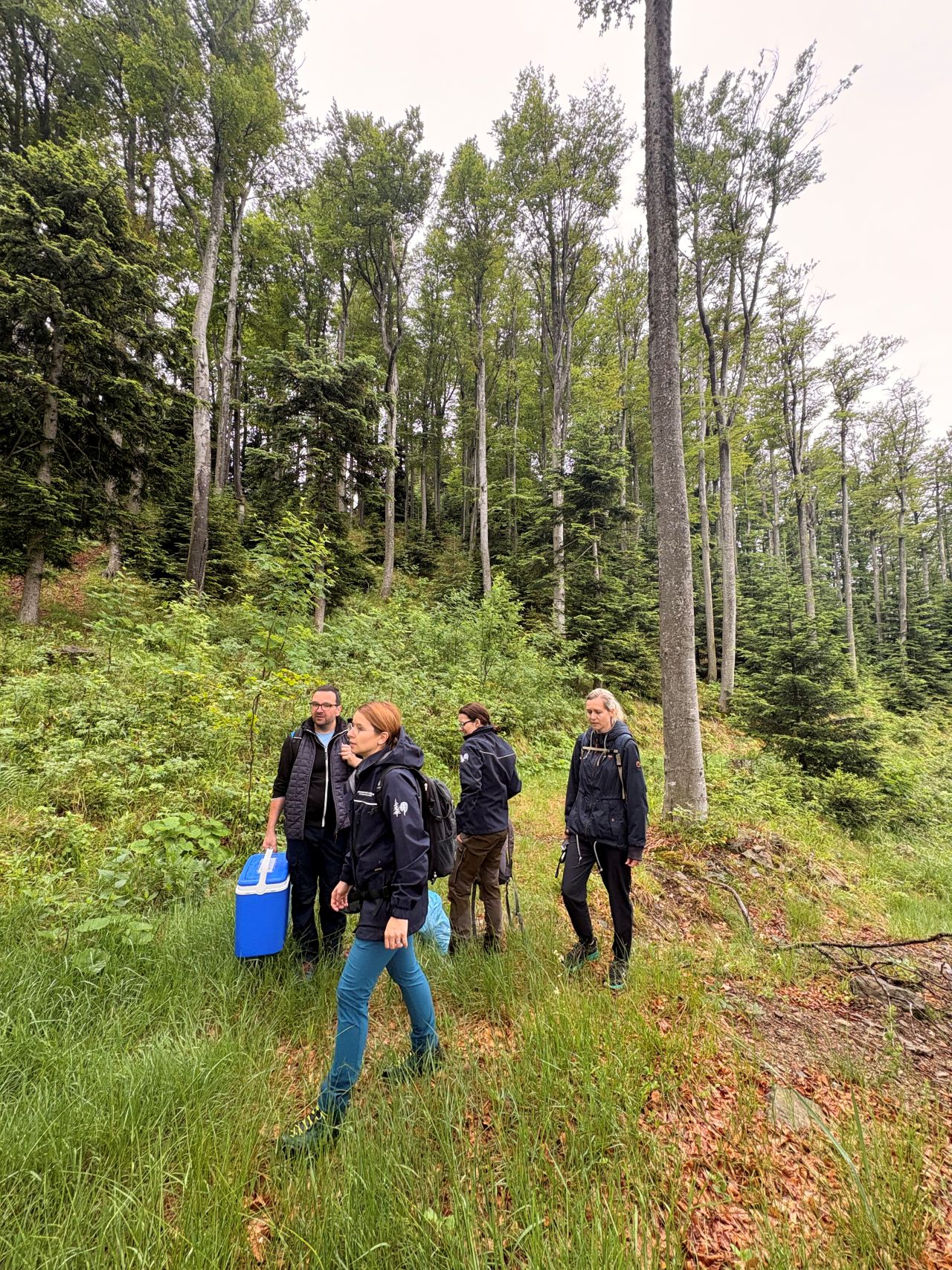 Sampling Activities 