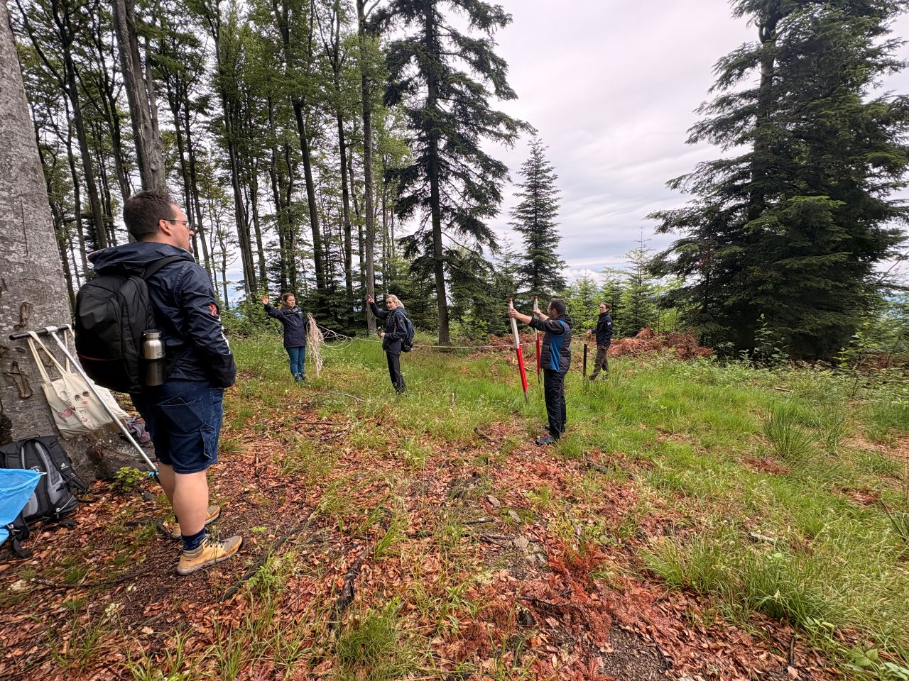 Sampling Activities 