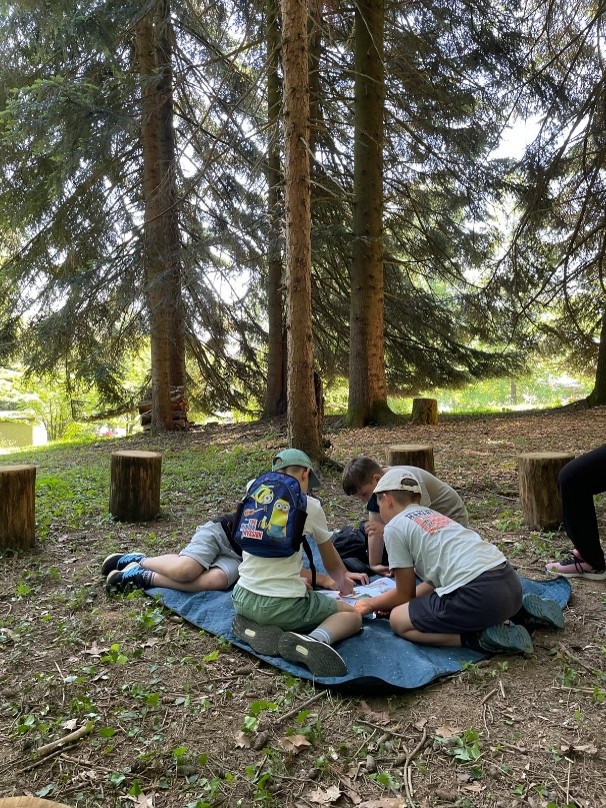 Immersion in the Forest
