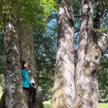 Forest Therapy