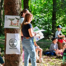 Immersion in the Forest