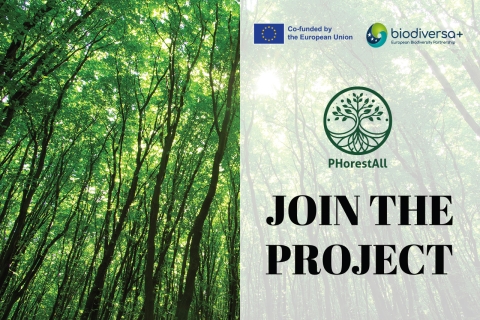 PhorestAll Join the Project