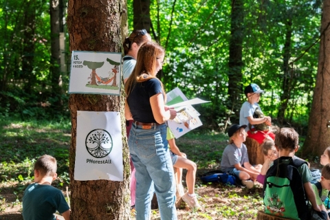 Immersion in the Forest
