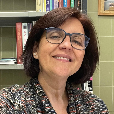 Isabel Henriques