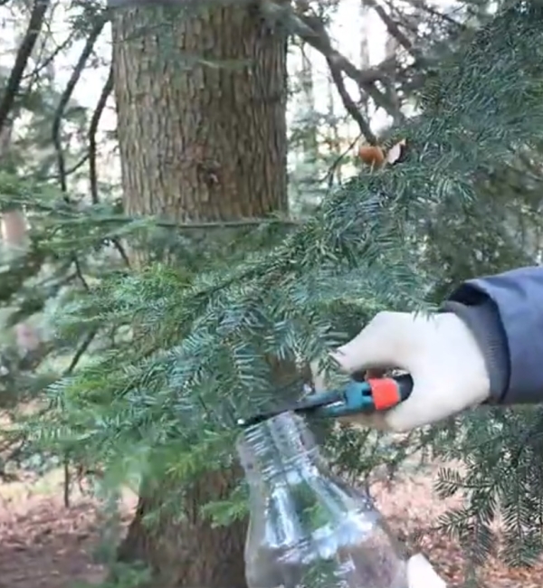 Moments from the video protocols for air and needle sampling